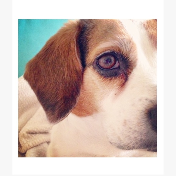 A little about me | feedback here, please - Picture 6 of 15